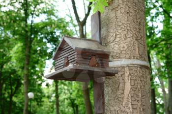 Royalty Free Photo of a Bird House