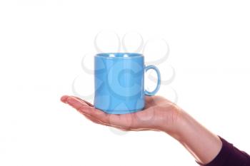 Royalty Free Photo of a Person Holding a Mug   