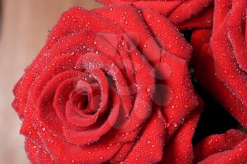 Royalty Free Photo of Red Roses