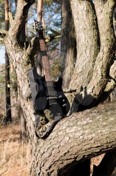 There is an electric guitar on the tree