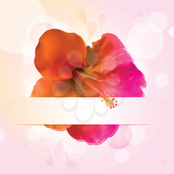 pink and orange hibiscus flower with banner and glowing circles