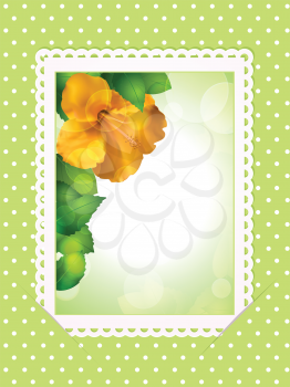 hibiscus flower and leaves on a postcard slotted in to a polka dot background