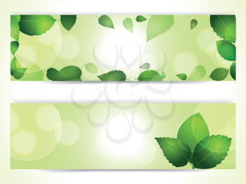 Spring Banner Set with Lush Green Leaves and Lens Flares
