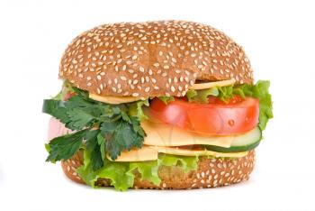 Royalty Free Photo of a Cheeseburger on a Plate