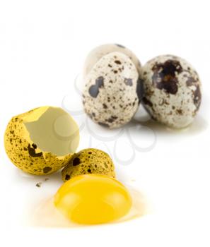 Royalty Free Photo of Quail Eggs