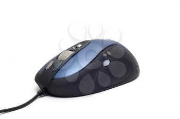 Royalty Free Photo of a Computer Mouse