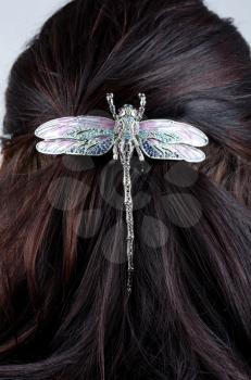 Woman coiffure with dragonfly hairpin closeup