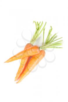 Ripe carrots isolated on a white background