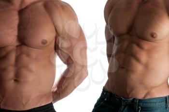 Two muscular male torso of bodybuilder on white background