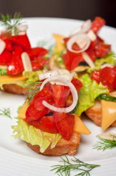 Toast with vegetables, cheese, tomato, pepper, onion, cucumber and garlic