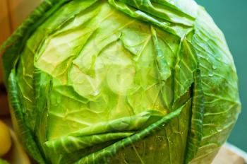 fresh ripe cabbage closeup photo