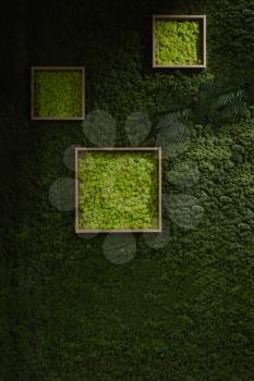 Dark green moss wall background