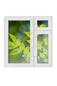Plastic window with green leaves on white background