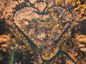 Heart shaped river in Altai territory. Autumn forest. Wonder of nature place, aerial drone view