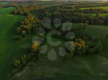 Top aerial view of green fields and meadows in evening summer. Landscape with drone in Altai