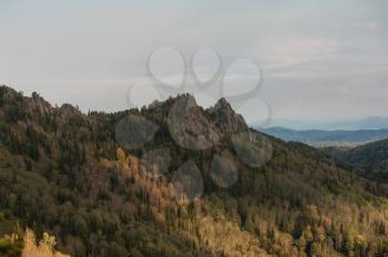 Beauty view in mountains of Altai. Kolyvan range - a mountain range in the north-west of the Altai Mountains, in the Altai Territory of Russia