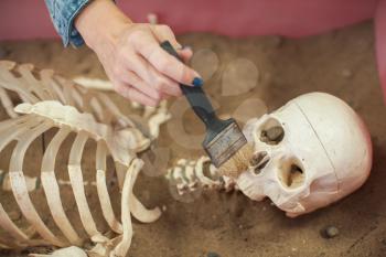 Human fossil discovered concept. Woman hand is using brush to sweep artificial bones fossil in sand.