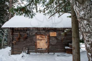 Antique wooden barn house in winter forest. Retro building of the early 19th century.