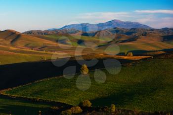 Beauty summer evening in the mountains in Altay. Green and yellow meadows, blue sky, purity air.