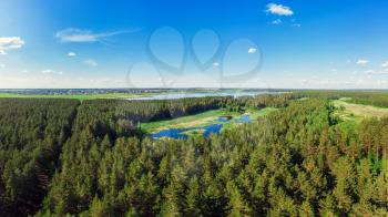Aerial view of forest lake in beauty summer day, drone shot