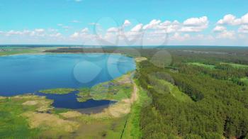 Aerial view to the forest lake in beauty summer day, drone 4k video