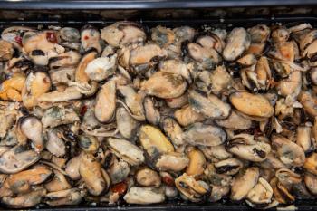 Mussels in black plastic container closeup