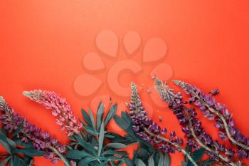 Red paper mockup for text with decor made of flower lupine