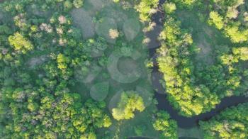 Aerial drone video of summer june landscape with river