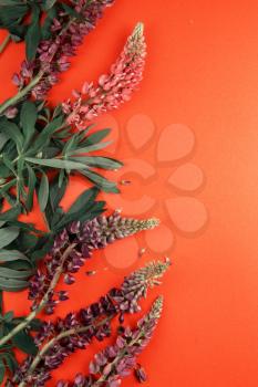 Red paper mockup for text with decor made of flower lupine