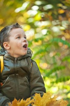 baby boy at the colorful autumn park