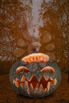 Halloween pumpkin on leaves background