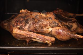 roasted goose still in the oven light by the oven lamp 