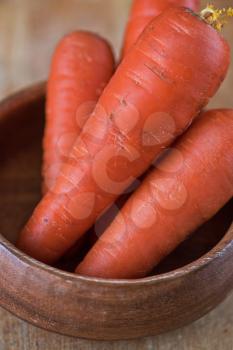 Fresh harvest of ripe carrots. Nature concept.