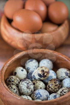 Fresh chicken eggs and quail eggs at wooden plate closeup