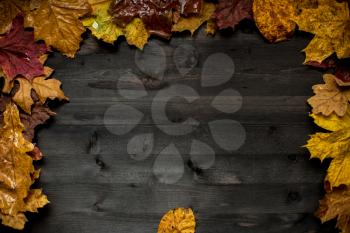 Wood autumn background with free space for design