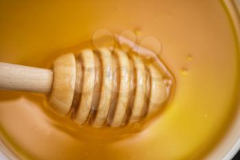 Honey with wooden spoon closeup photo