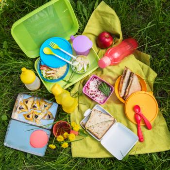 Top view of various picnic foods outdoors.