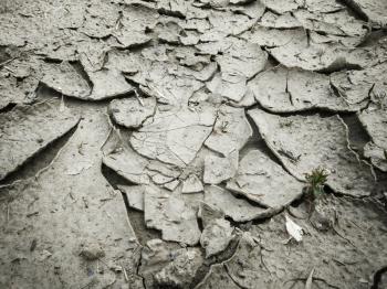 Dry cracked earth background texture