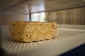 aging cheese heads with white and blue mold