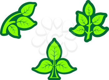 Royalty Free Clipart Image of a Set of Green Leaves
