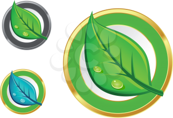 Green leaf emblems and icons set for ecology design