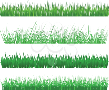 Green grass and field patterns isolated on white background