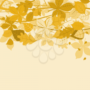 Autumnal leaves on colorful background for seasonal design