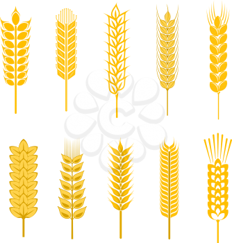 Set of cereal symbols for agriculture design isolated on white background