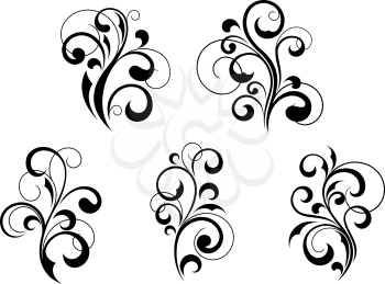 Set of beautiful floral elements and motifs isolated on white background