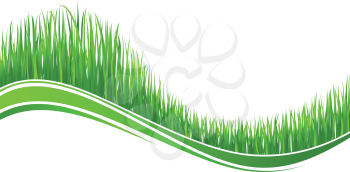 Grass wave for spring background or nature banner