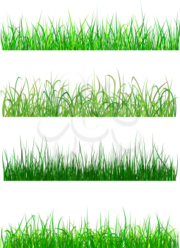 Field and meadow grass elements and patterns isolated on white background