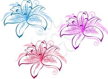 Beautiful lily flowers set for design and ornate