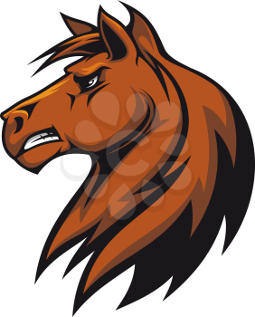 Brown stallion head for mascot or equestrian sports design
