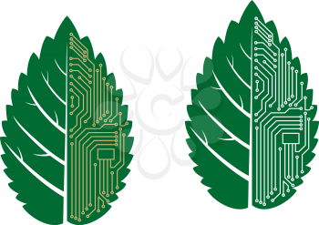Green leaf with computer and motherboard elements for technology concept